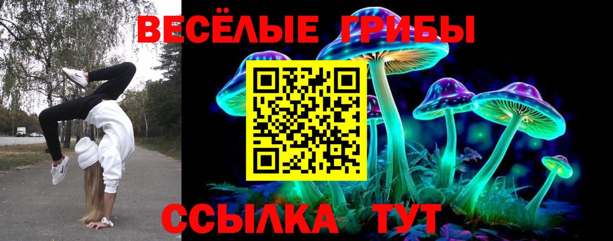 Псилоцибиновые грибы Cubensis Петровск